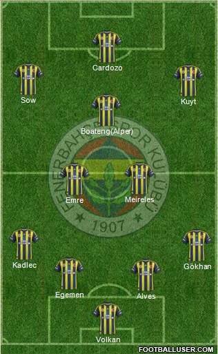 Fenerbahçe SK Formation 2013