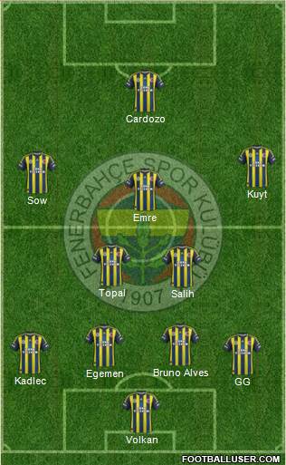 Fenerbahçe SK Formation 2013