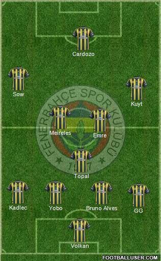 Fenerbahçe SK Formation 2013