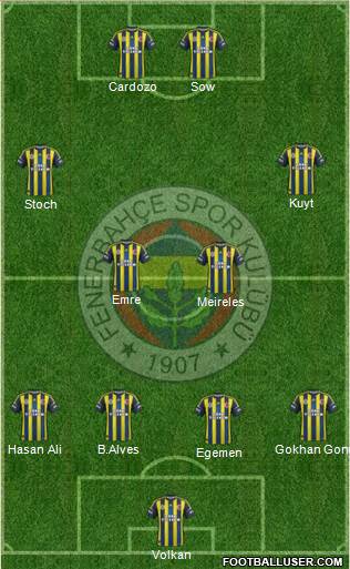 Fenerbahçe SK Formation 2013