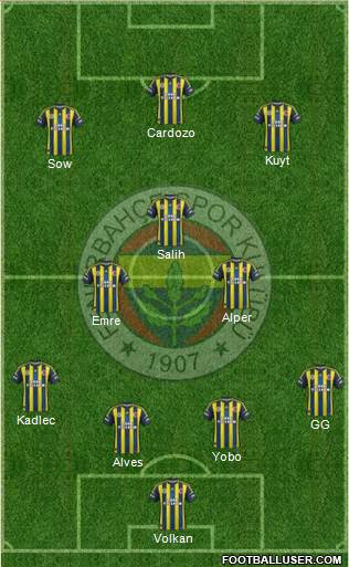Fenerbahçe SK Formation 2013