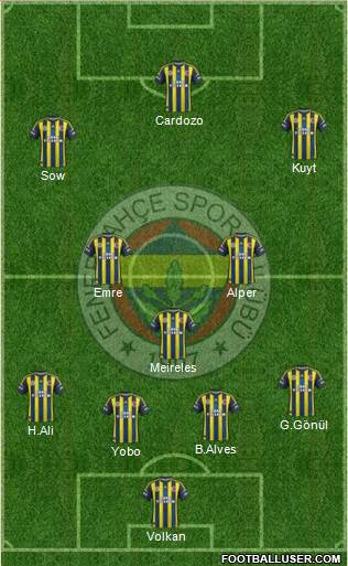 Fenerbahçe SK Formation 2013