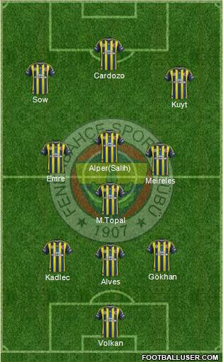 Fenerbahçe SK Formation 2013