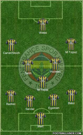 Fenerbahçe SK Formation 2013
