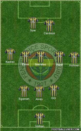 Fenerbahçe SK Formation 2013