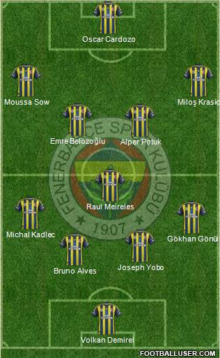 Fenerbahçe SK Formation 2013