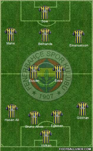 Fenerbahçe SK Formation 2013