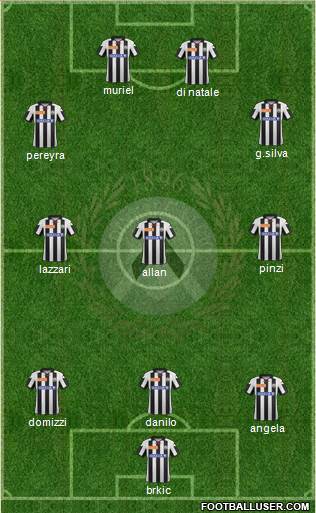 Udinese Formation 2013