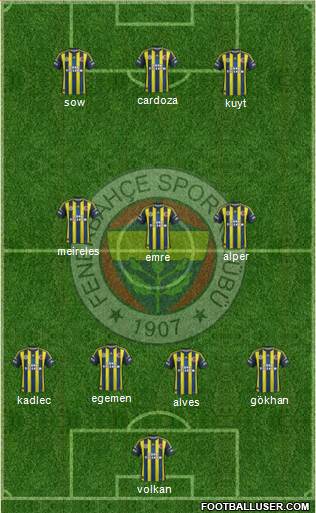 Fenerbahçe SK Formation 2013