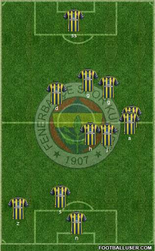 Fenerbahçe SK Formation 2013