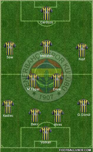 Fenerbahçe SK Formation 2013