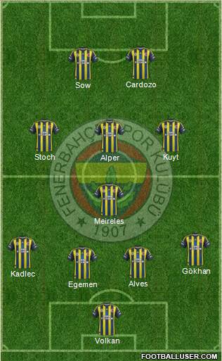 Fenerbahçe SK Formation 2013