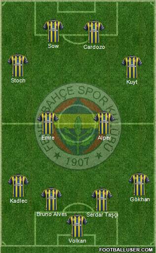 Fenerbahçe SK Formation 2013