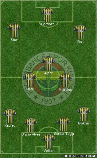 Fenerbahçe SK Formation 2013
