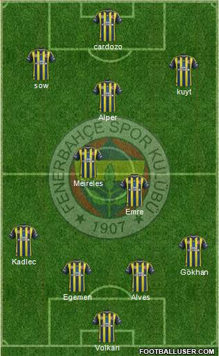 Fenerbahçe SK Formation 2013