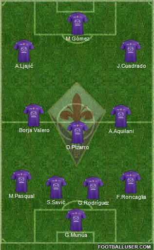 Fiorentina Formation 2013