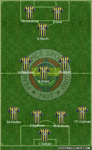 Fenerbahçe SK Formation 2013