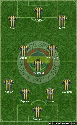Fenerbahçe SK Formation 2013