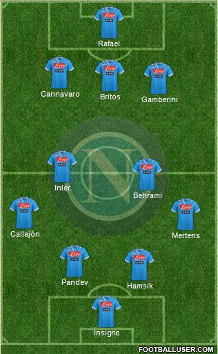 Napoli Formation 2013
