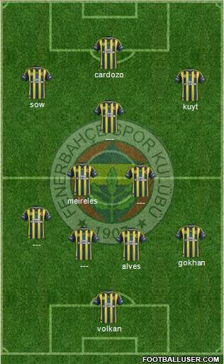 Fenerbahçe SK Formation 2013