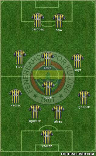 Fenerbahçe SK Formation 2013