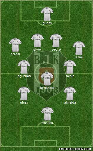 Besiktas JK Formation 2013