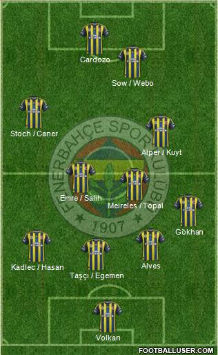 Fenerbahçe SK Formation 2013