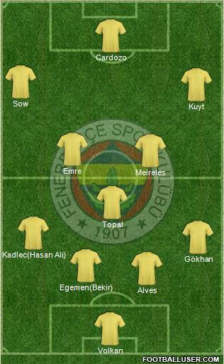 Fenerbahçe SK Formation 2013