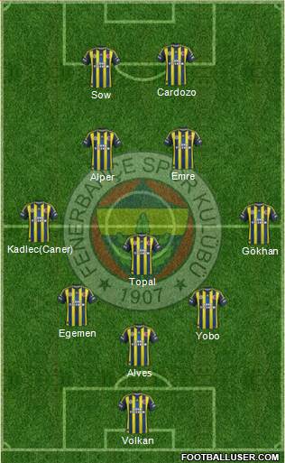 Fenerbahçe SK Formation 2013