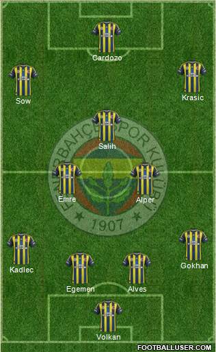 Fenerbahçe SK Formation 2013