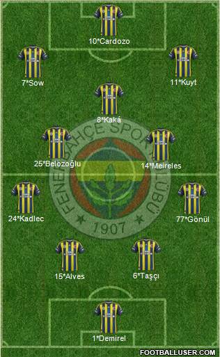 Fenerbahçe SK Formation 2013