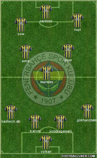 Fenerbahçe SK Formation 2013