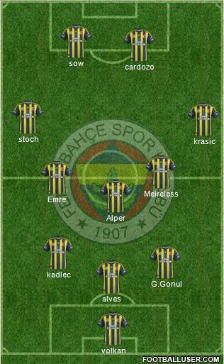 Fenerbahçe SK Formation 2013