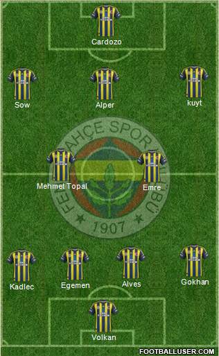 Fenerbahçe SK Formation 2013