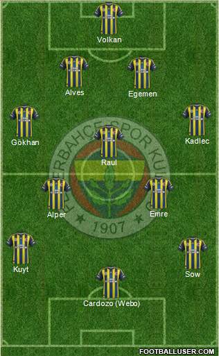 Fenerbahçe SK Formation 2013