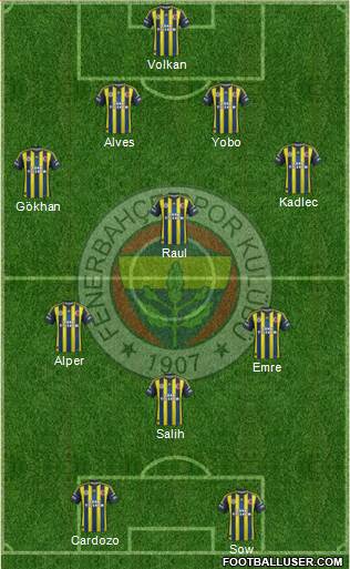 Fenerbahçe SK Formation 2013