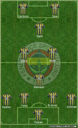 Fenerbahçe SK Formation 2013
