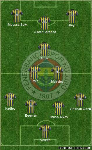 Fenerbahçe SK Formation 2013
