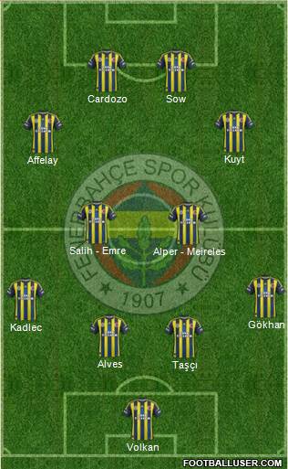Fenerbahçe SK Formation 2013