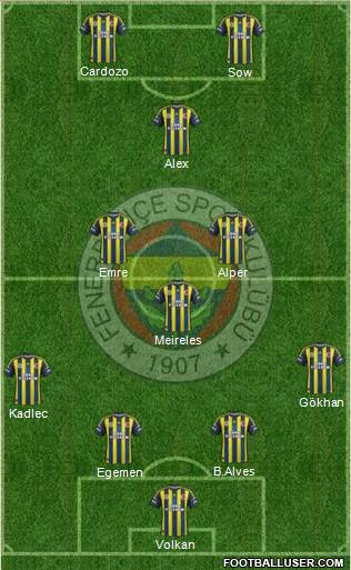 Fenerbahçe SK Formation 2013