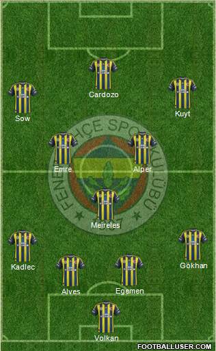 Fenerbahçe SK Formation 2013