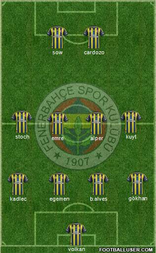 Fenerbahçe SK Formation 2013