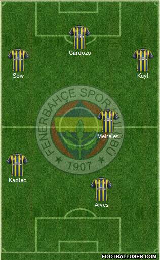 Fenerbahçe SK Formation 2013