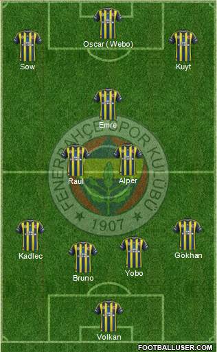 Fenerbahçe SK Formation 2013