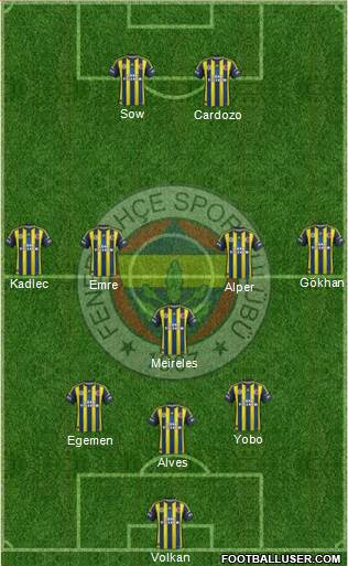 Fenerbahçe SK Formation 2013