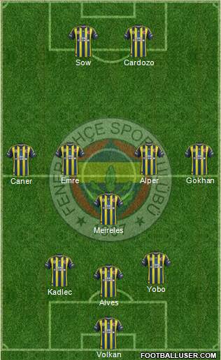 Fenerbahçe SK Formation 2013