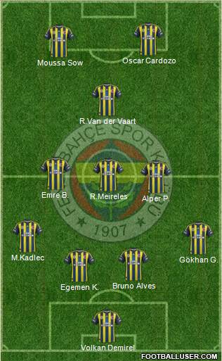 Fenerbahçe SK Formation 2013