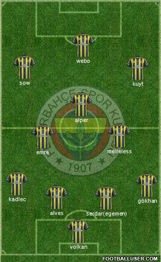 Fenerbahçe SK Formation 2013
