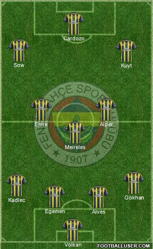 Fenerbahçe SK Formation 2013