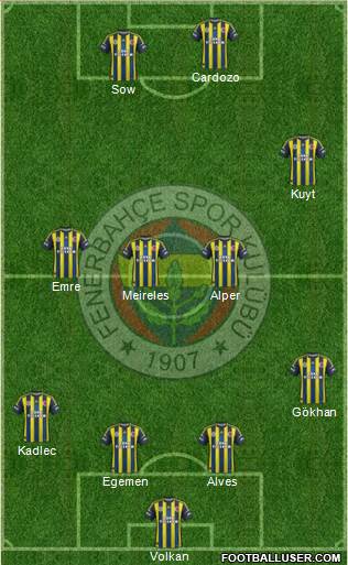 Fenerbahçe SK Formation 2013